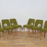 Shell Chairs from Bydgoszcz Furniture Factory, Poland, 1960s, Set of 6