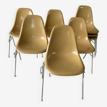 Chaises empilables DSS fibre de verre par Ray et Charles Eames pour Herman Miller