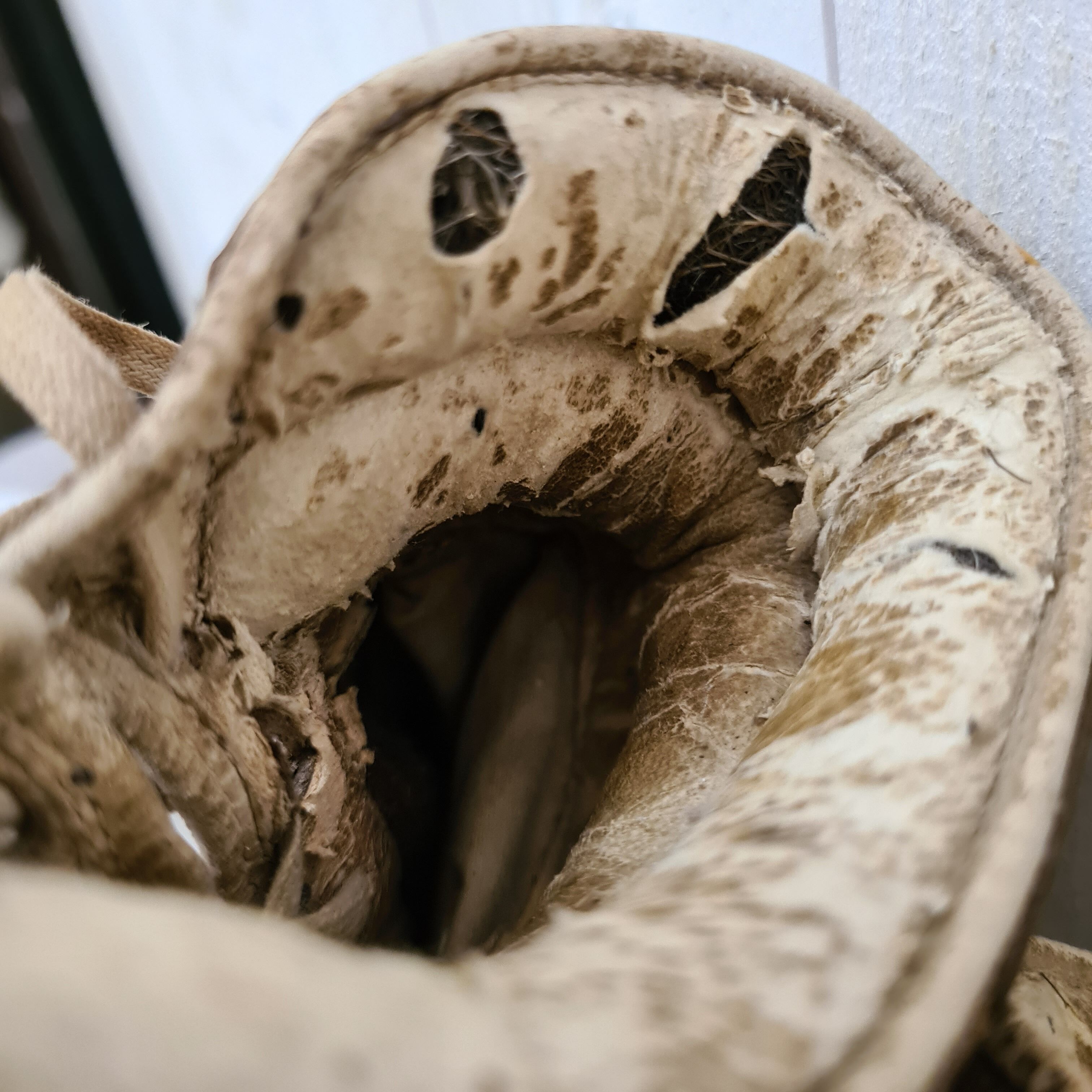 Vintage leather boxing gloves