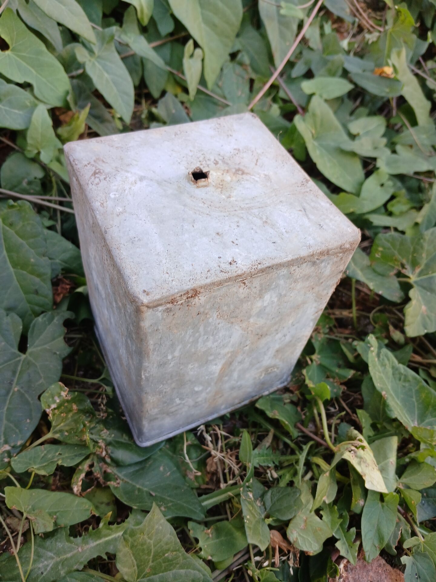 Wire mesh basket
