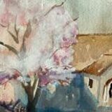 Cherry blossoms