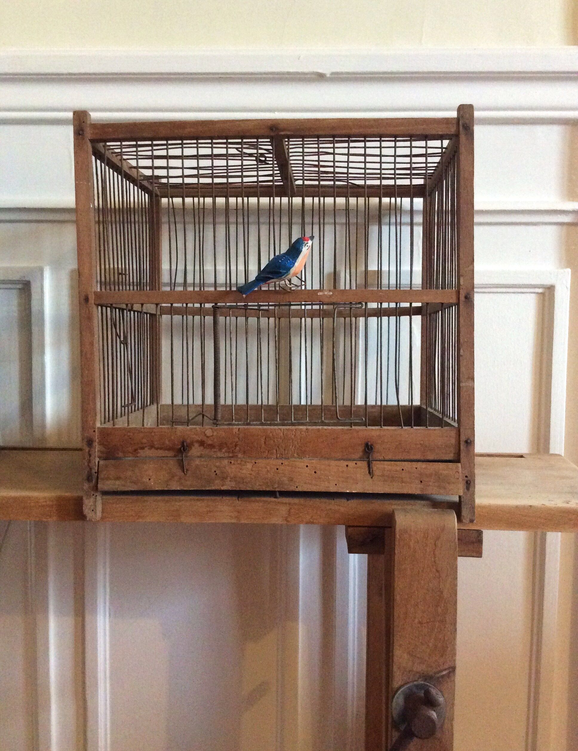 Birdcage in early 20th century