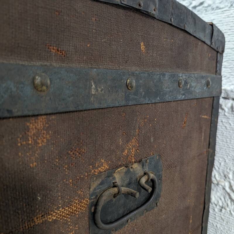 Old bulging trunk