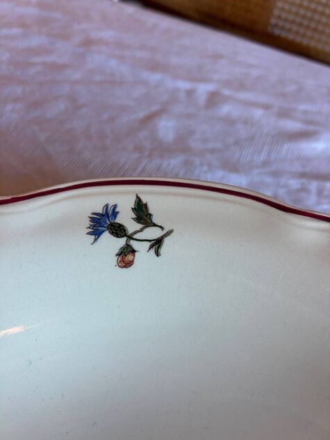 Large antique fine earthenware plate – Sarreguemines – Aigreste decoration