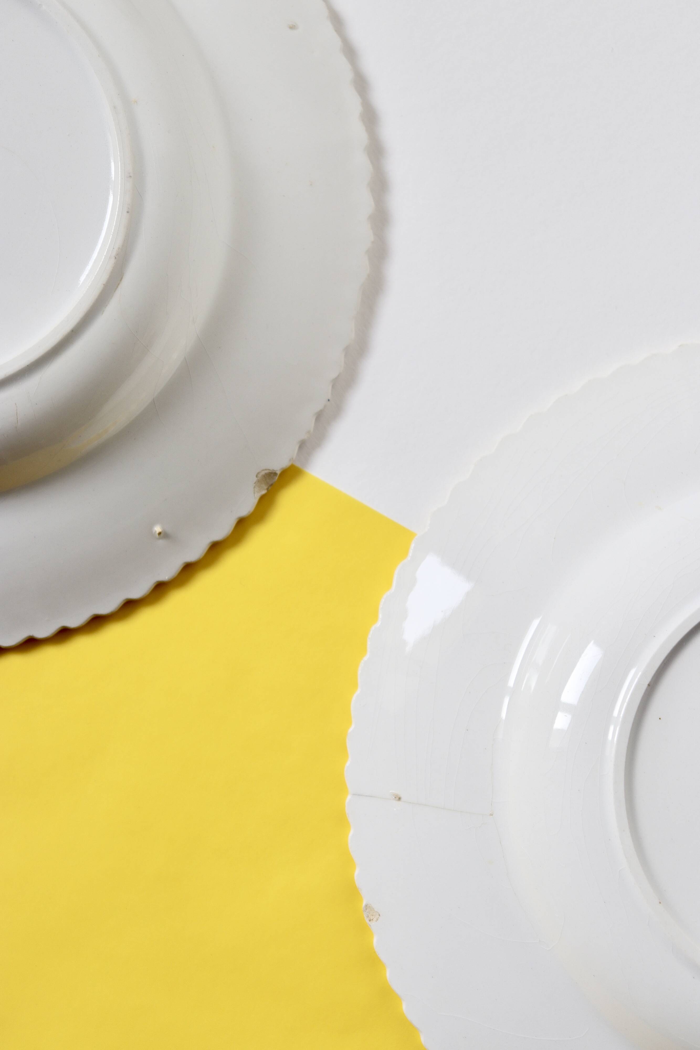 16 illustrated plates