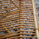 Seat rattan 60s vintage