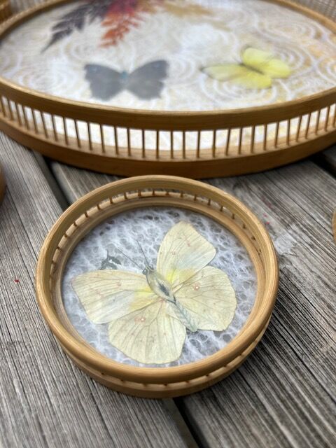 Bamboo tray and 6 coasters