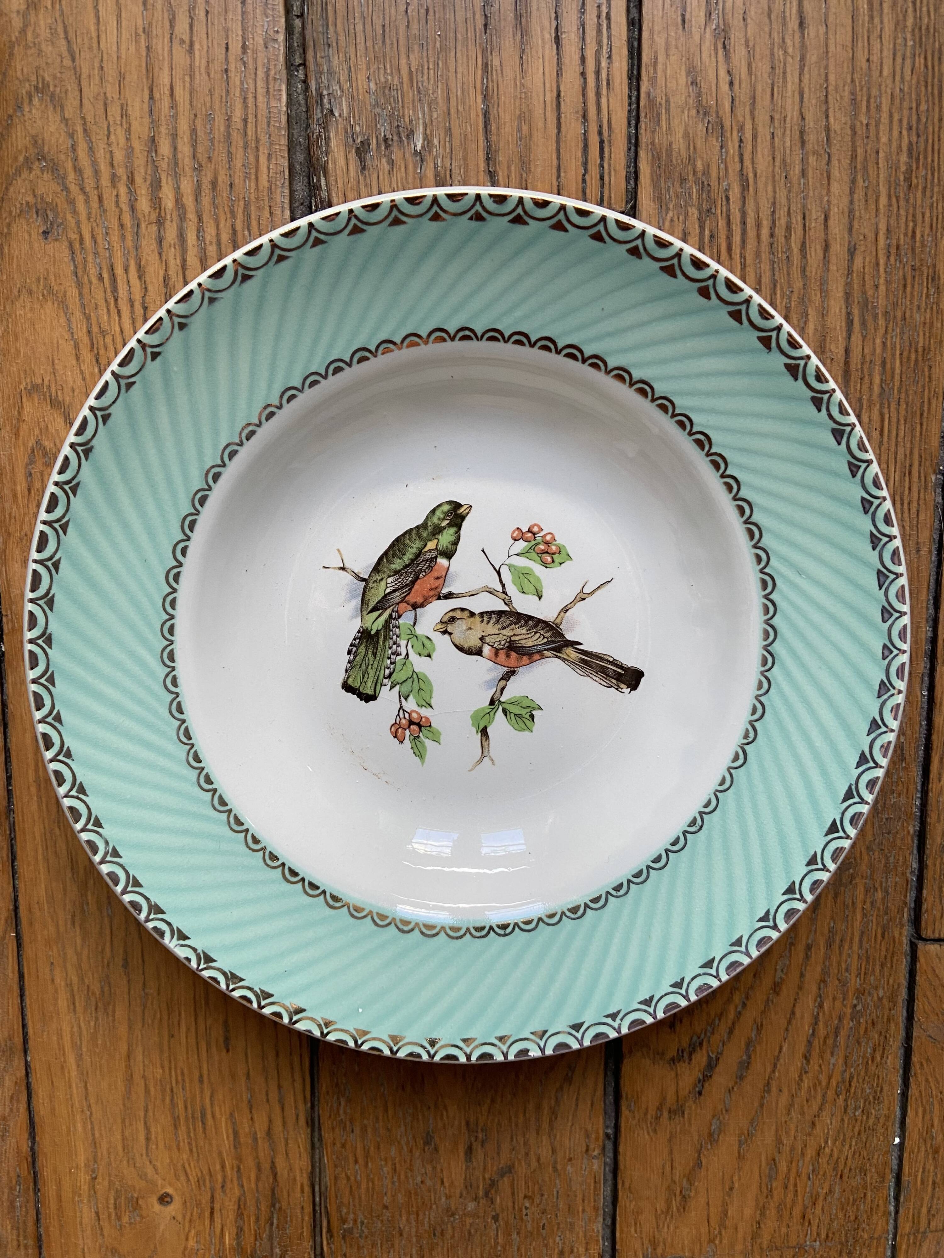 Set of 7 deep plates, turquoise rim and bird pattern.