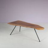 1950s Tree trunk coffee table in Aubock style from Austria