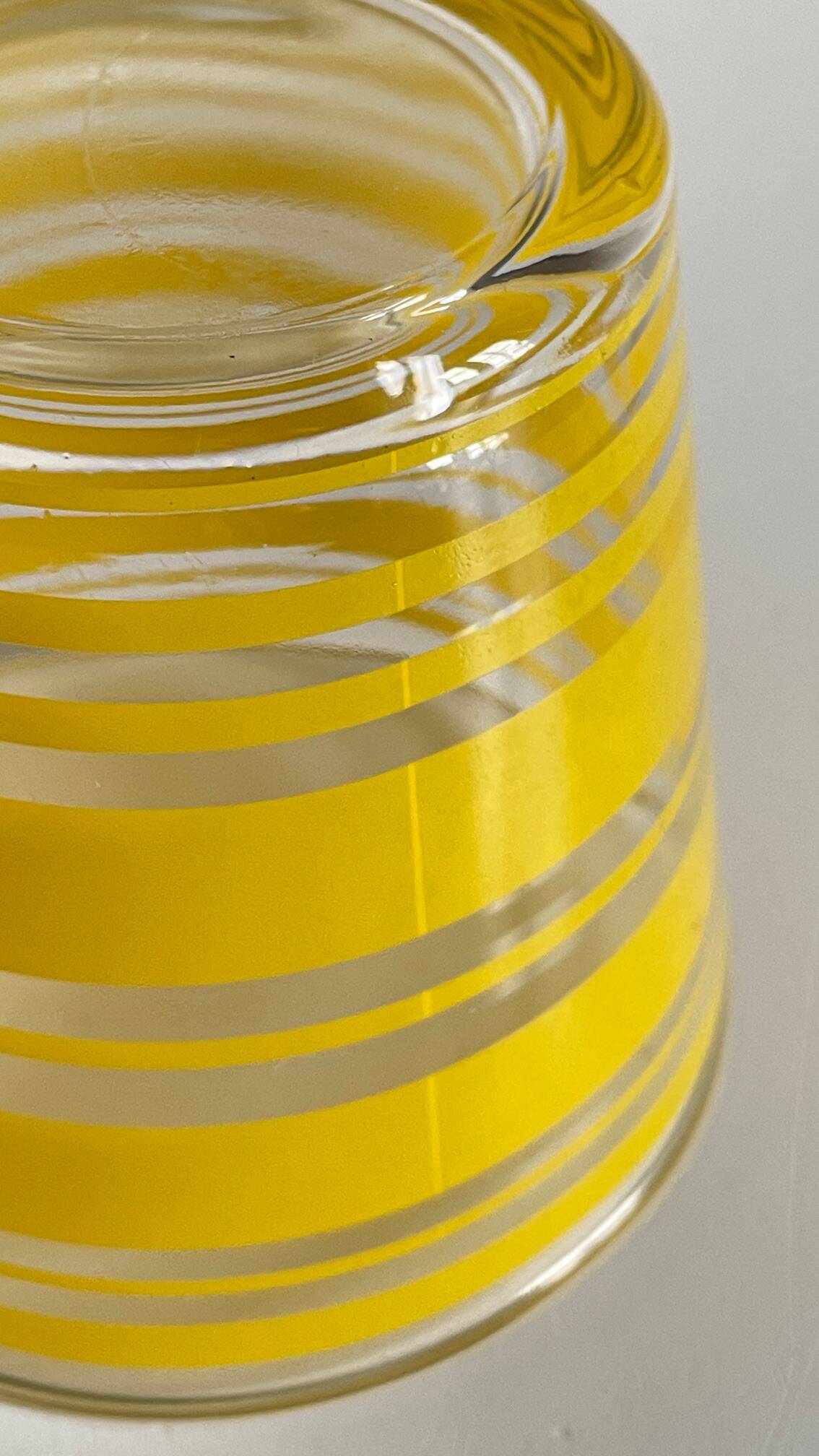 Pair of VINTAGE Silkscreened Glass Plant Pots