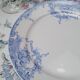Flat plate Dauphin BFK