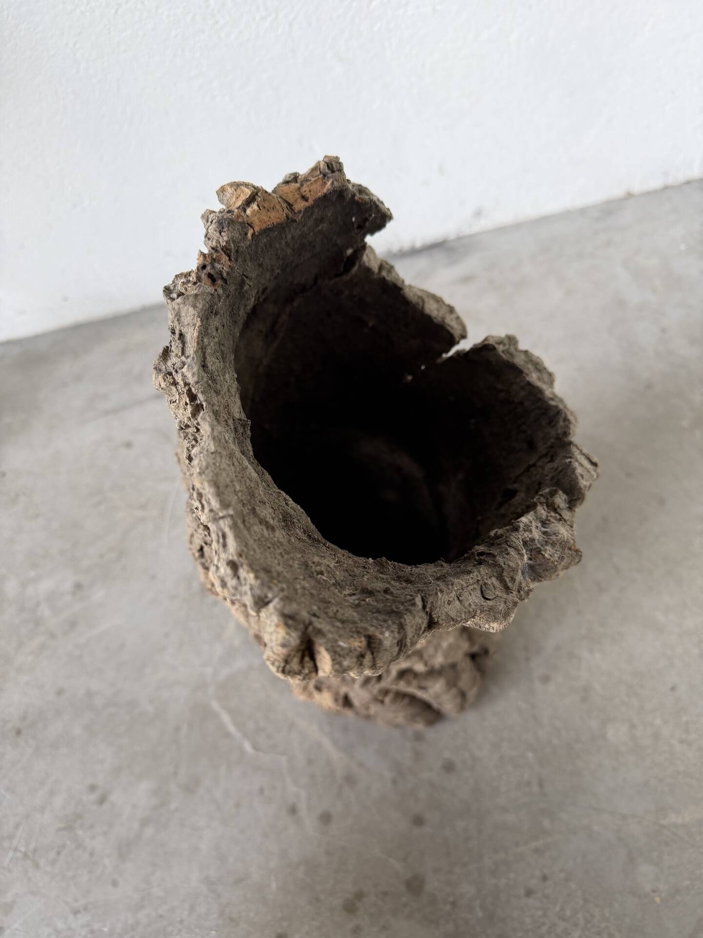 XL cork bark vase