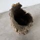 XL cork bark vase
