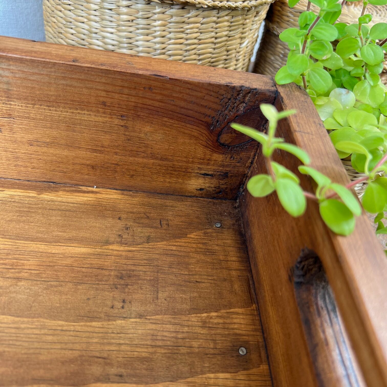 Top in raw wood "Badoit"