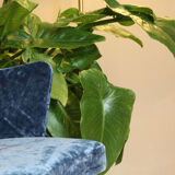 Armchair in blue velvet, Italy 1950s