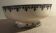 Earthenware compotier Terre by France HB & Cie Gagny