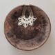 Old wooden Indian parat / tray.