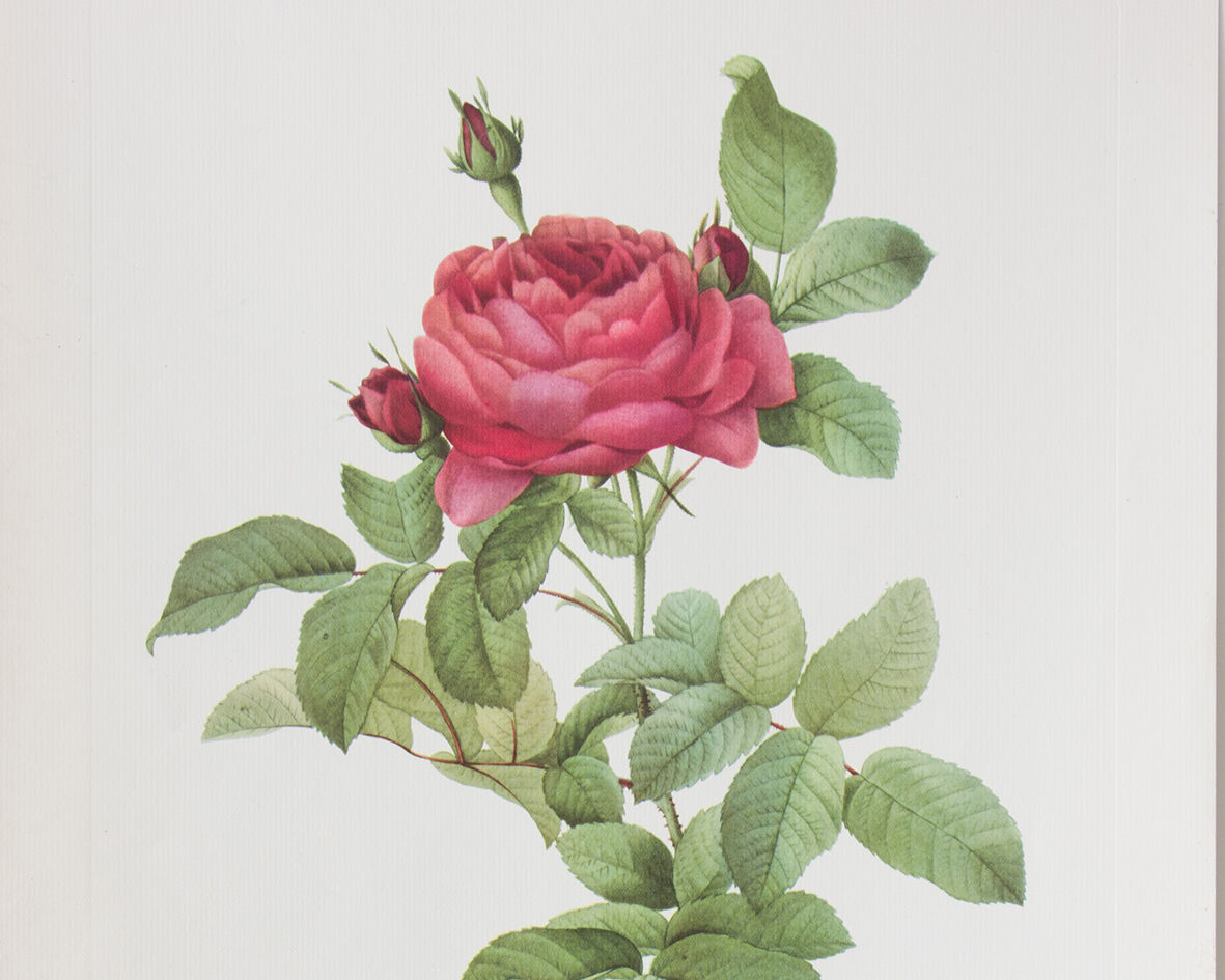 Dreaded botanical board