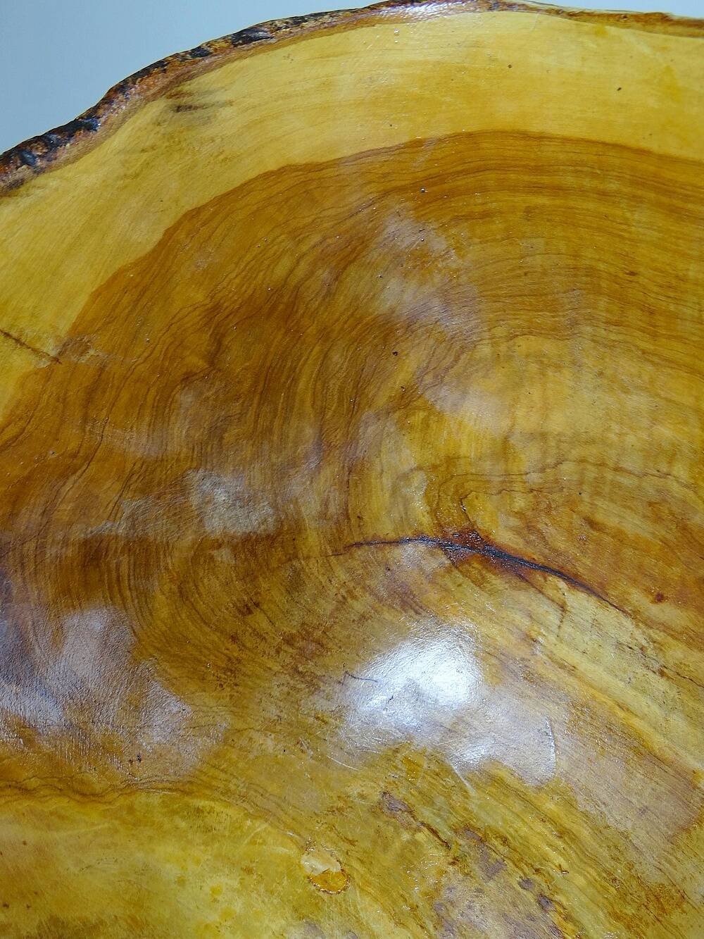 Large olive wood bowl Riviera brutalist craftsmanship circa 1950