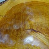 Large olive wood bowl Riviera brutalist craftsmanship circa 1950