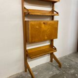 Mid-Century Wall Cabinet bookcase secretary by Cees Braakman for Pastoe