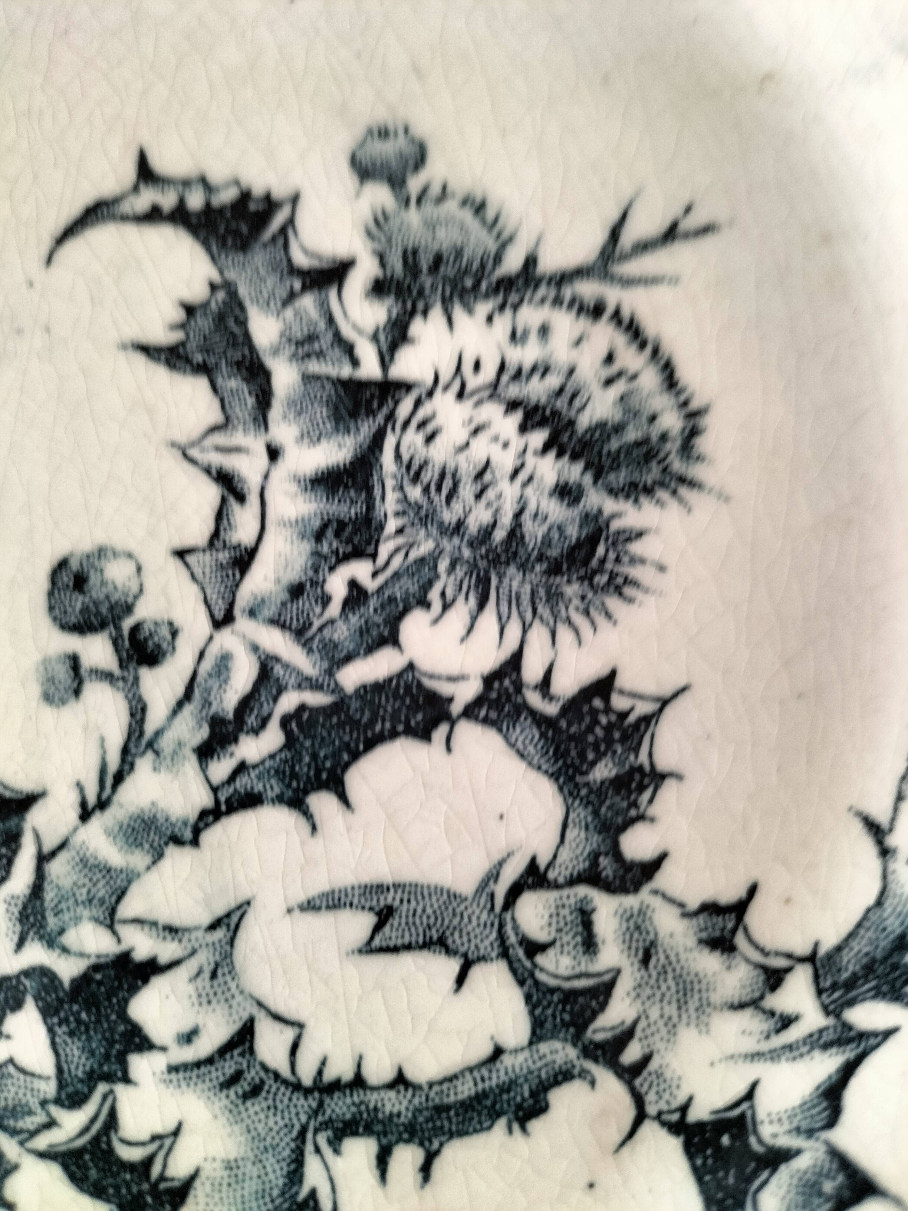 Set of 6 ironstone plates in shades of blue, late 19th to early 20th century.