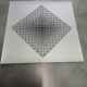Victor vasarely after the work goyo-ez