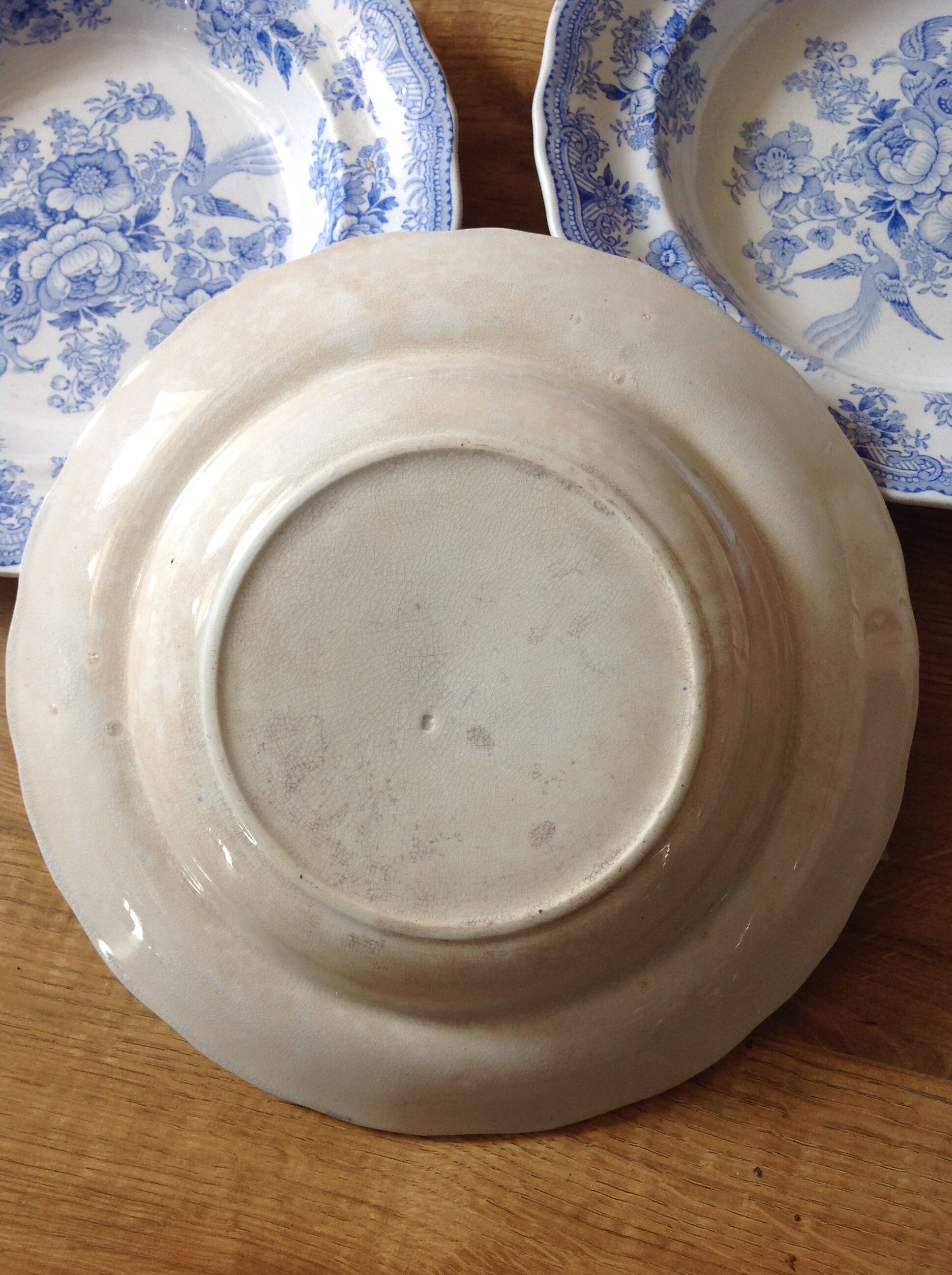 5 plates in faience old blue pattern flower bird