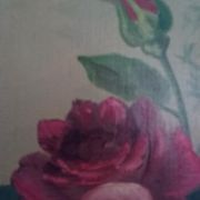 Still life vintage oil on canvas representing a bouquet of roses signed Piquet