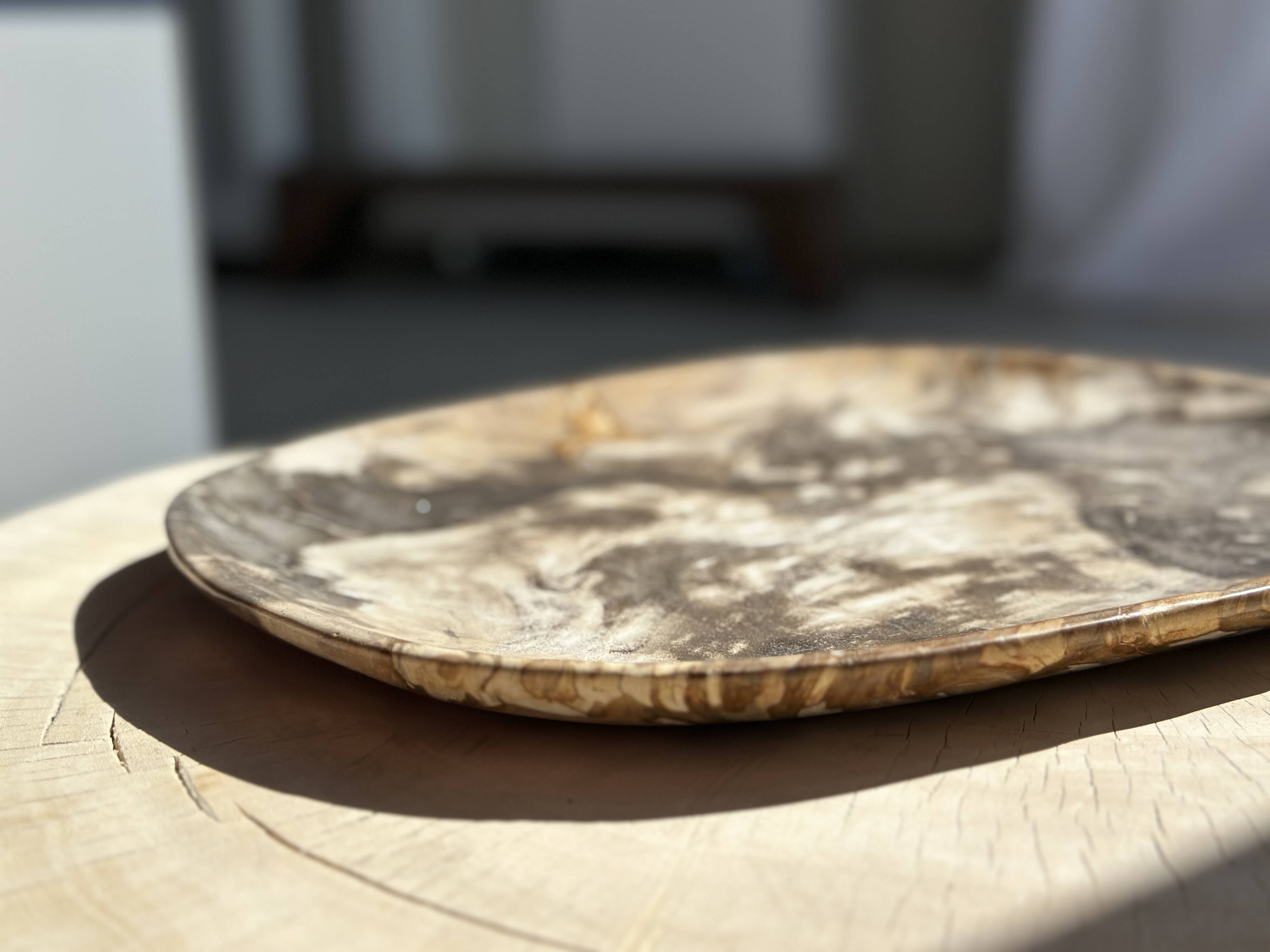 Very large pocket or dish in petrified wood