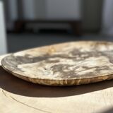 Very large pocket or dish in petrified wood