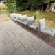 Set of 6 dining chairs Ligne Roset