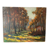 Cabin in the forest, oil on panel, signed H Classens.