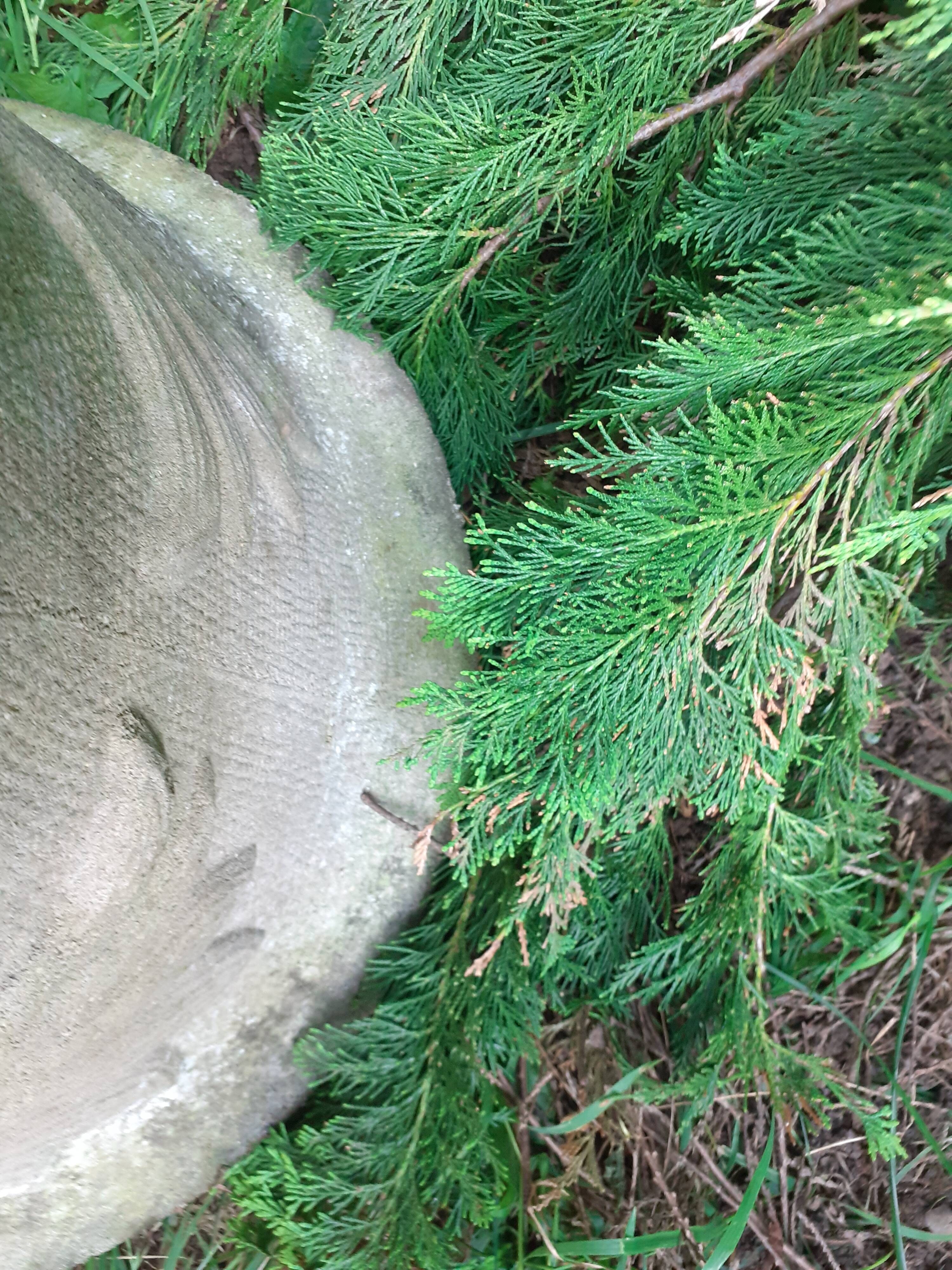 Pair of stone planter medicis