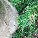 Pair of stone planter medicis