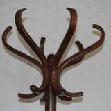 Baumann parrot coat rack simple dark beech