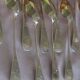 Box of 12 small silver spoons vermeil punch Minerve 190 Grs