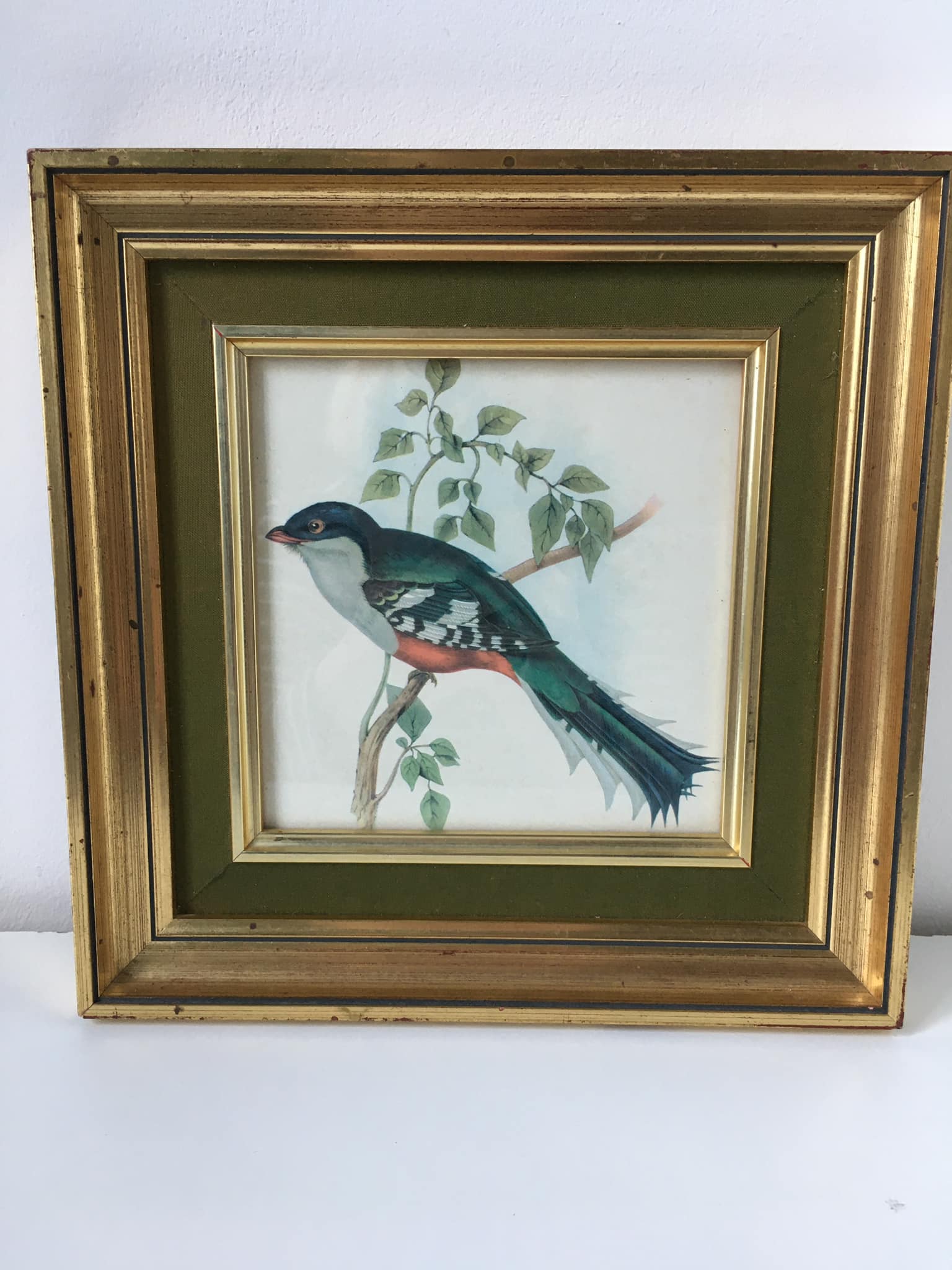 Table reproduction "beautiful colorful bird", gilded wood frame and green fabric