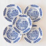 5 vintage collector's plates in pyroblan porcelain BP