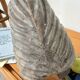 Brutalist wood shell sculpture box 1900