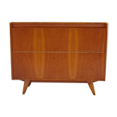 Storage chest or mini bar U459 by Jiri Jiroutek for Interier Praha 1960