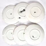 6 colorful plates in dabbling