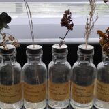 Old seed jars