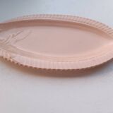 Fish slushie dish