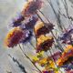 Peinture bouquet fleurs séchées J.Moy
