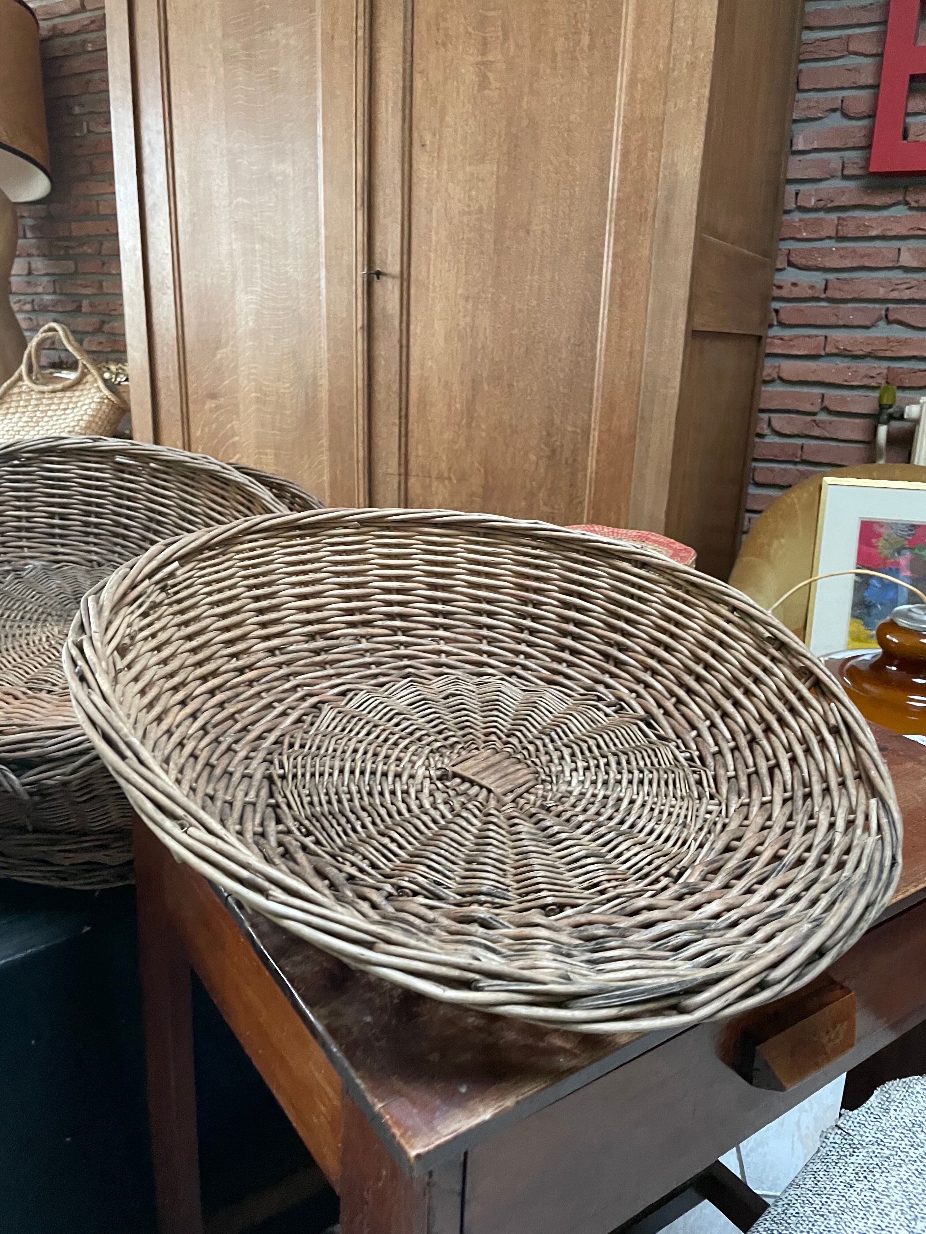 Baskets Alphonse and Arsène