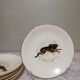 6 assiettes plates Gien Marly "animaux des forêts"