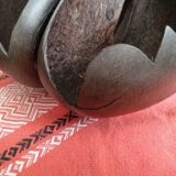 Coconut basket buttocks of Seychelles