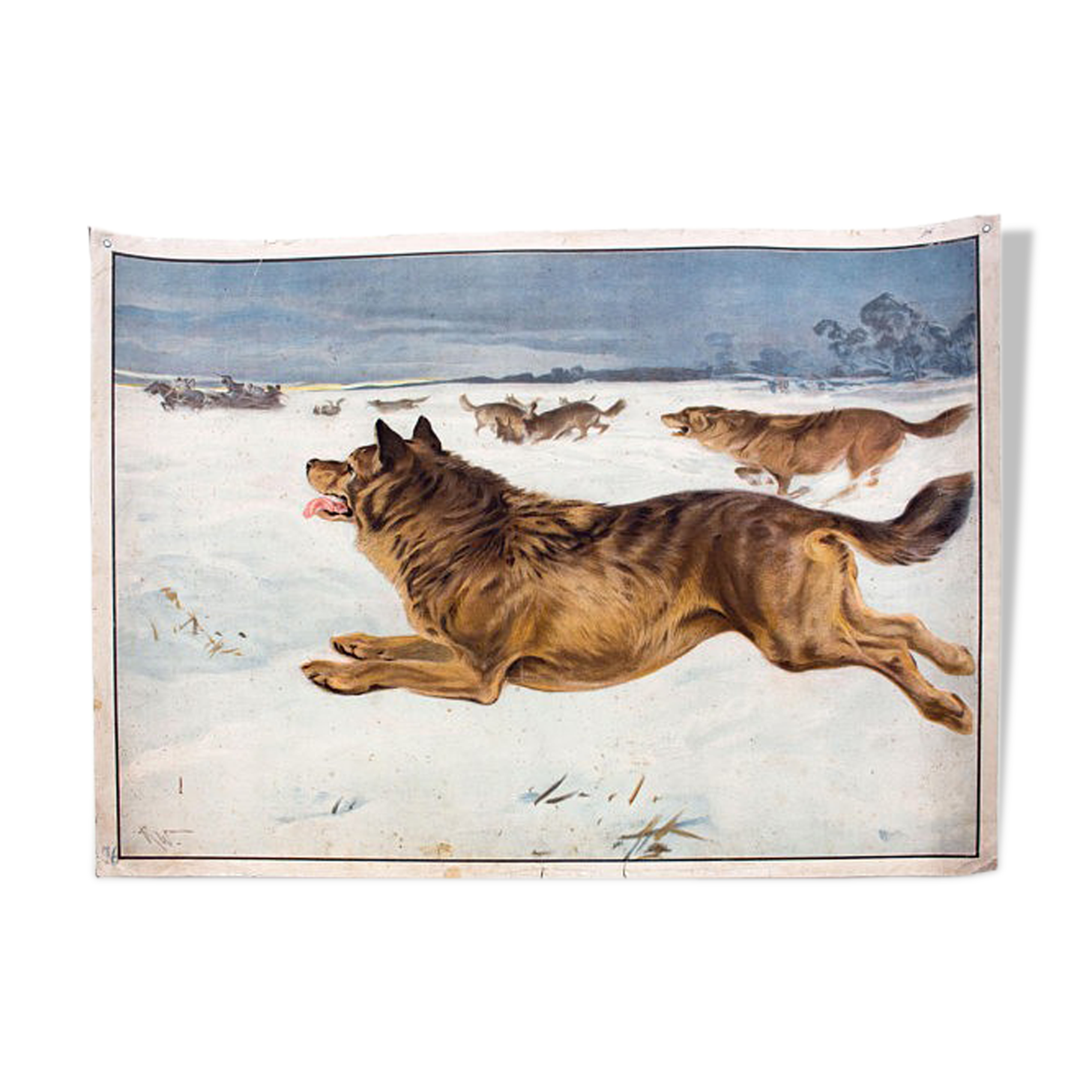 Poster "Dog" Educational Grid 1891