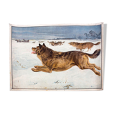 Poster "Dog" Educational Grid 1891